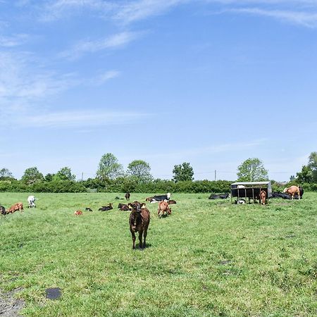 Green Acre Farm Ely Exteriér fotografie